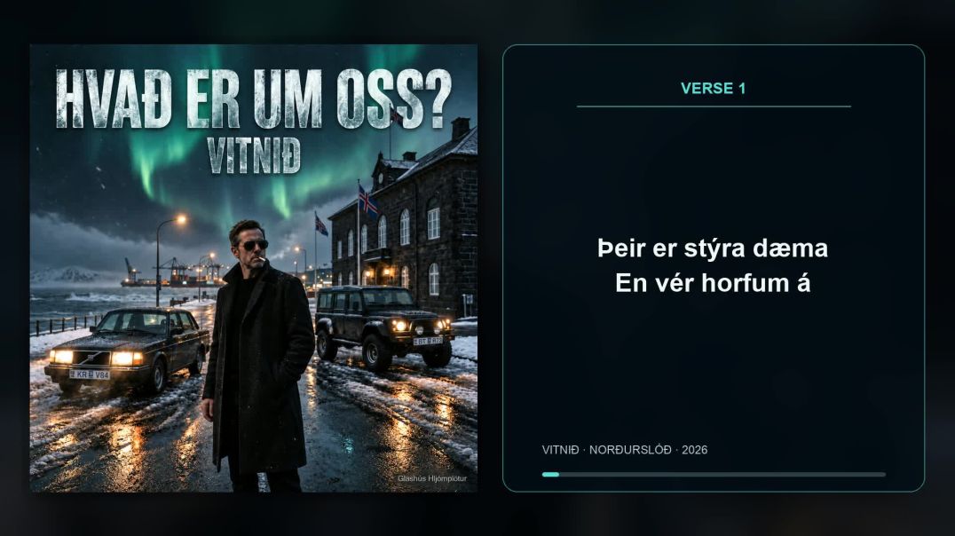 VITNIÐ - Hvað er um oss?  (Official Audio)
